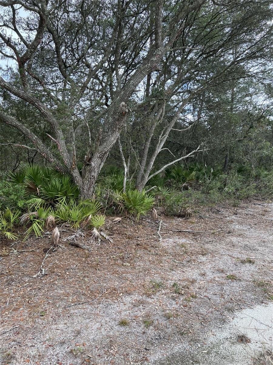 0 Ne 144 Ct, FL