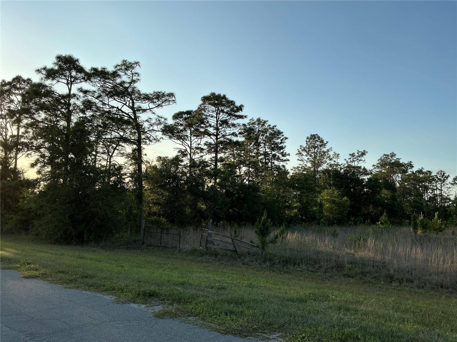Reynolds Pkwy, FL