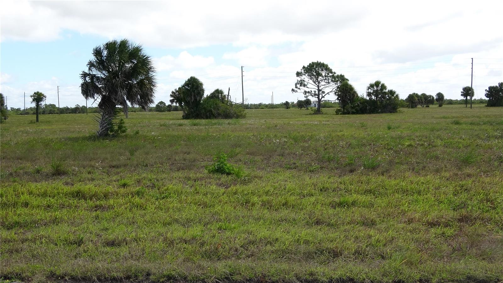Placida, FL