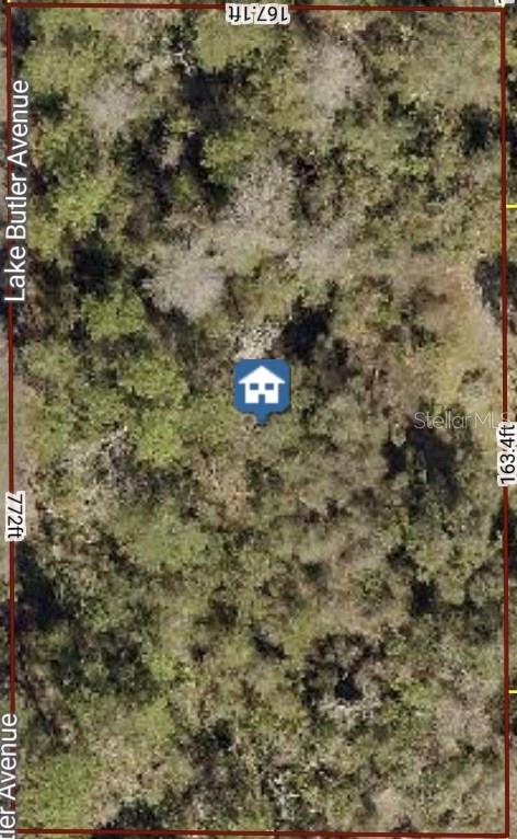 615 Lake Butler Avenue, FL