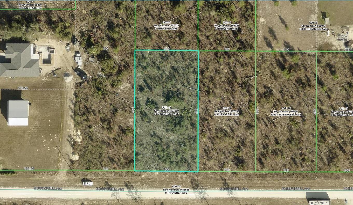 Scissorbill Avenue Lot #18, FL