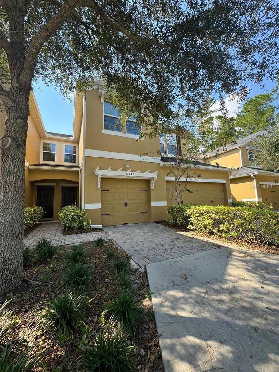 14442 Desert Haven Street, FL