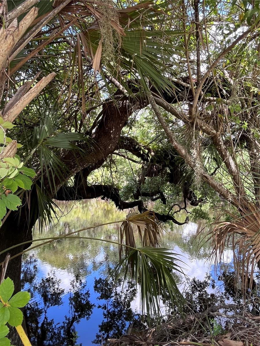 970 Brentwood Drive, FL