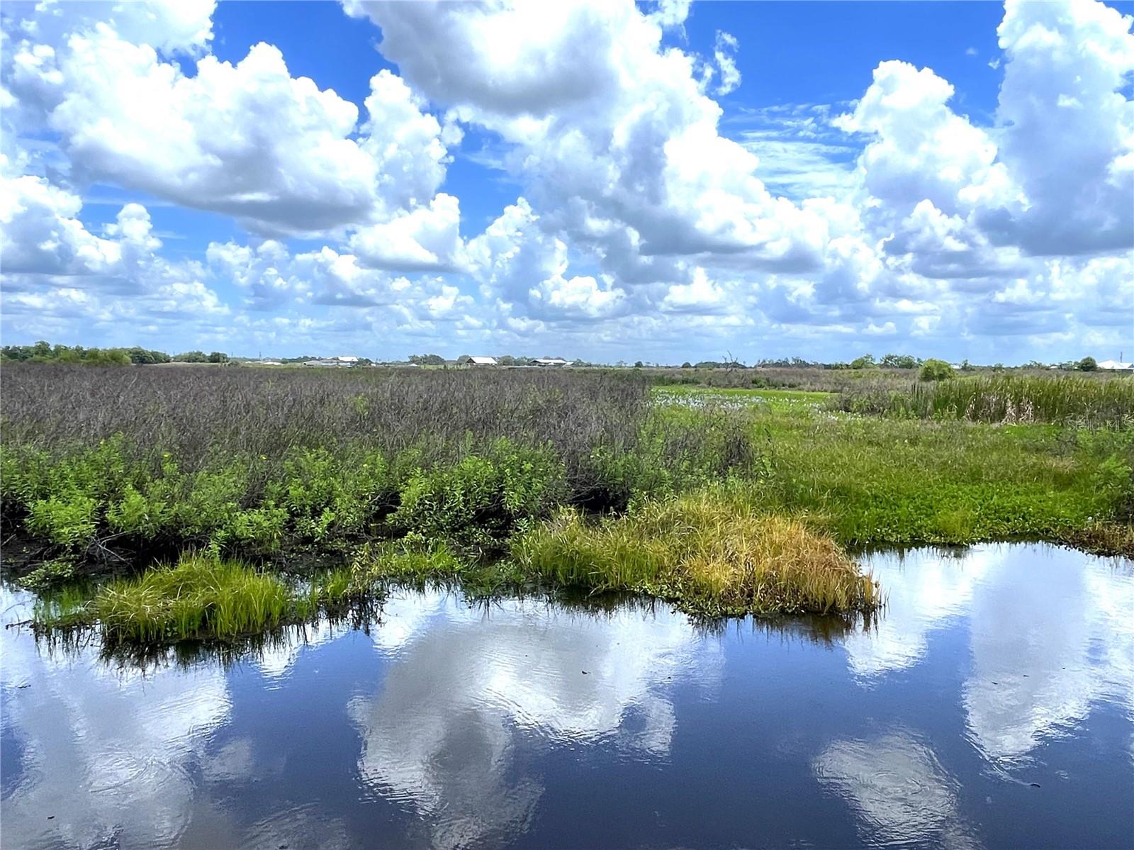 Wauchula Rd, FL