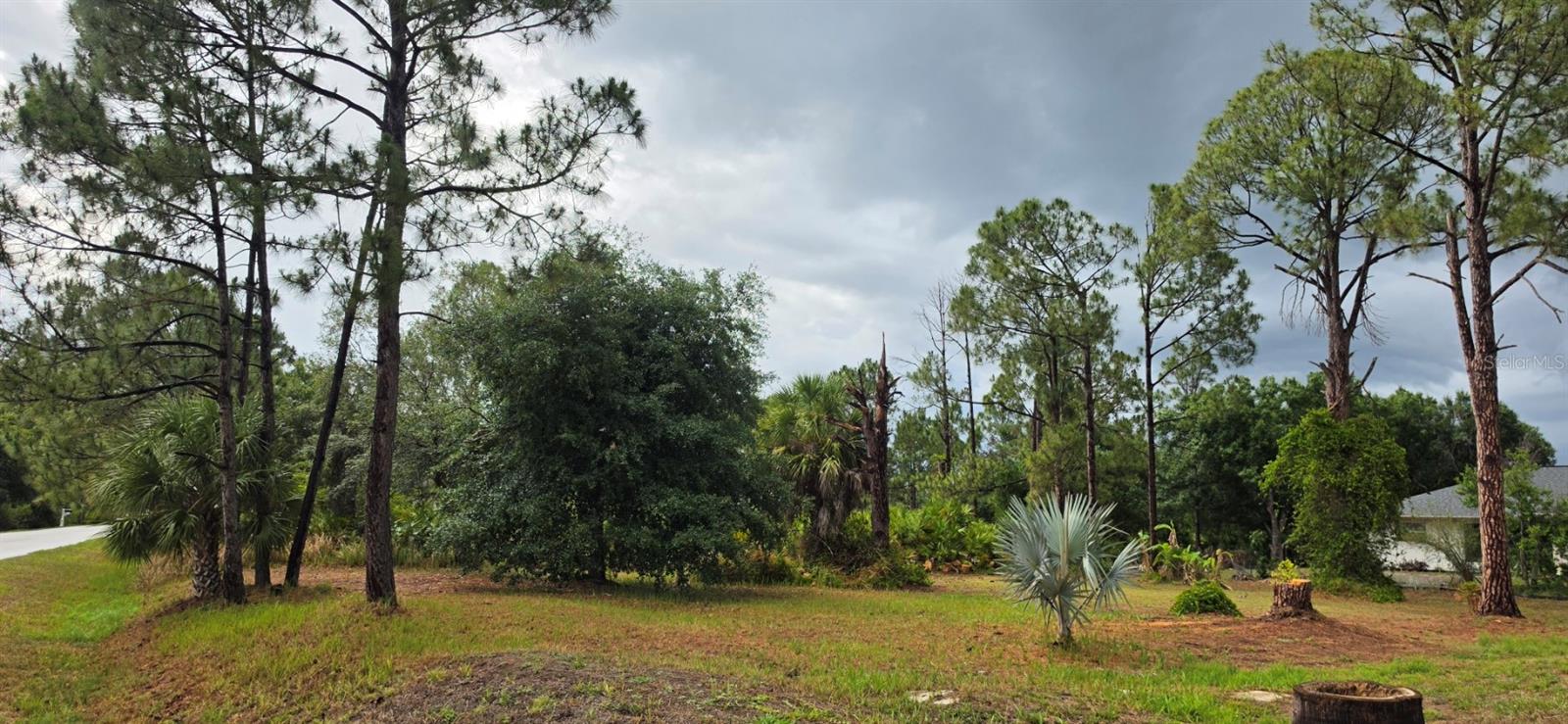 Lot 41 Perennial Rd, FL