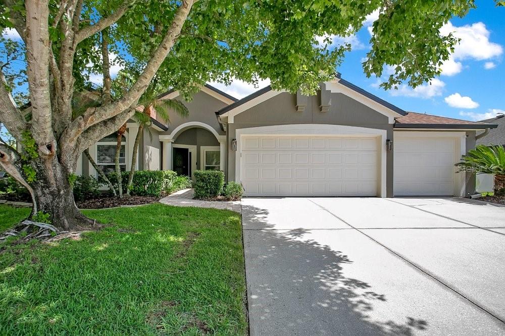 2405 Blossomwood Dr, FL
