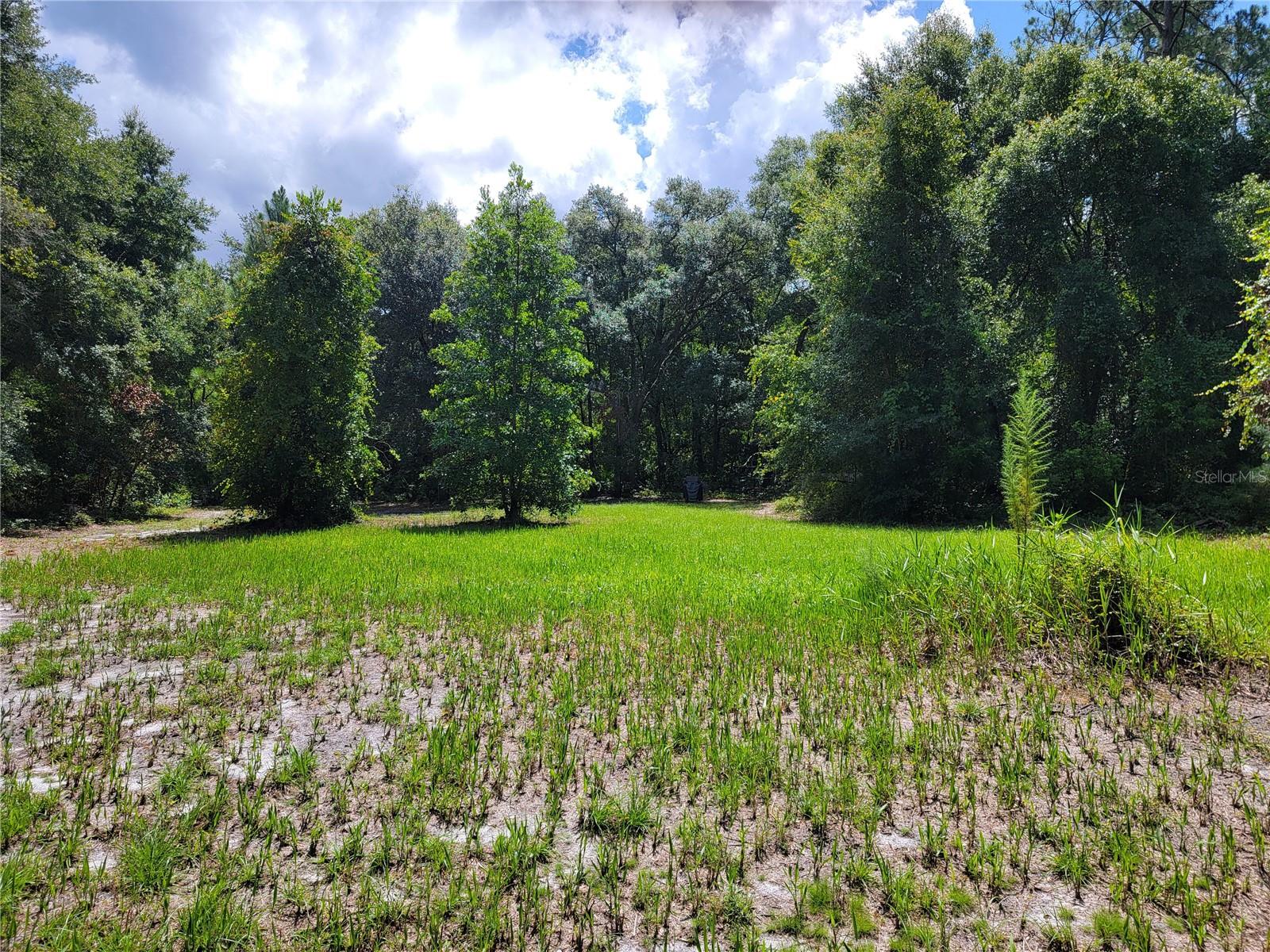 0 Se 464c Hwy, FL