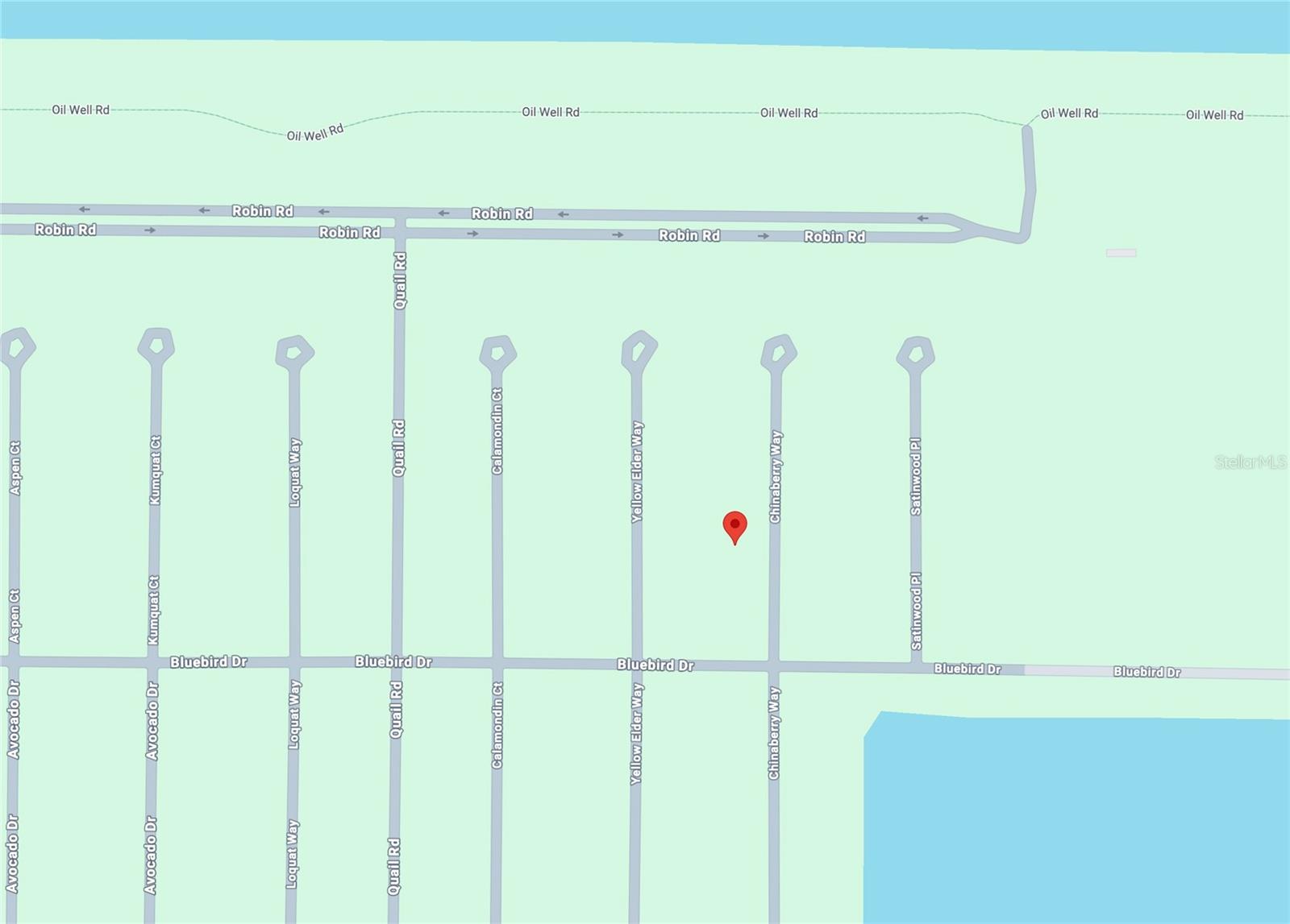23 Chinaberry Way, FL
