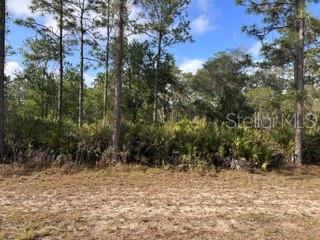 1013 (Blk 299 Lot 18) Alba Dr, FL