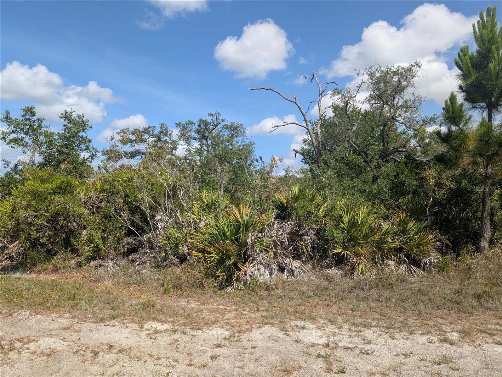 Lakeland Dr, FL