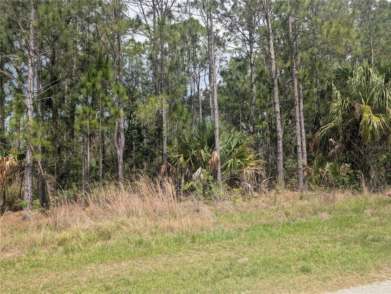 25 Amaryllis Dr, FL