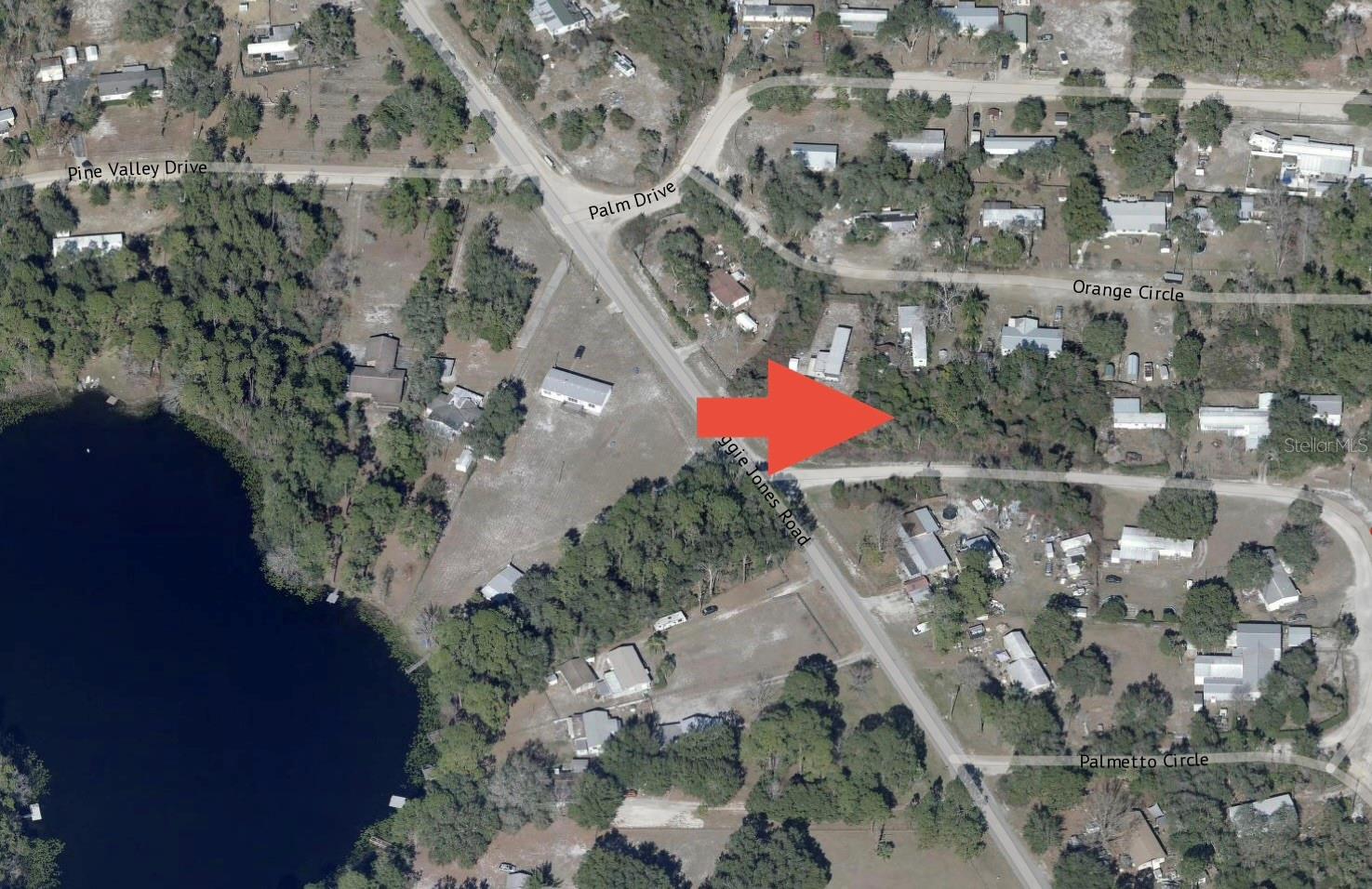 Palmetto Cir, FL