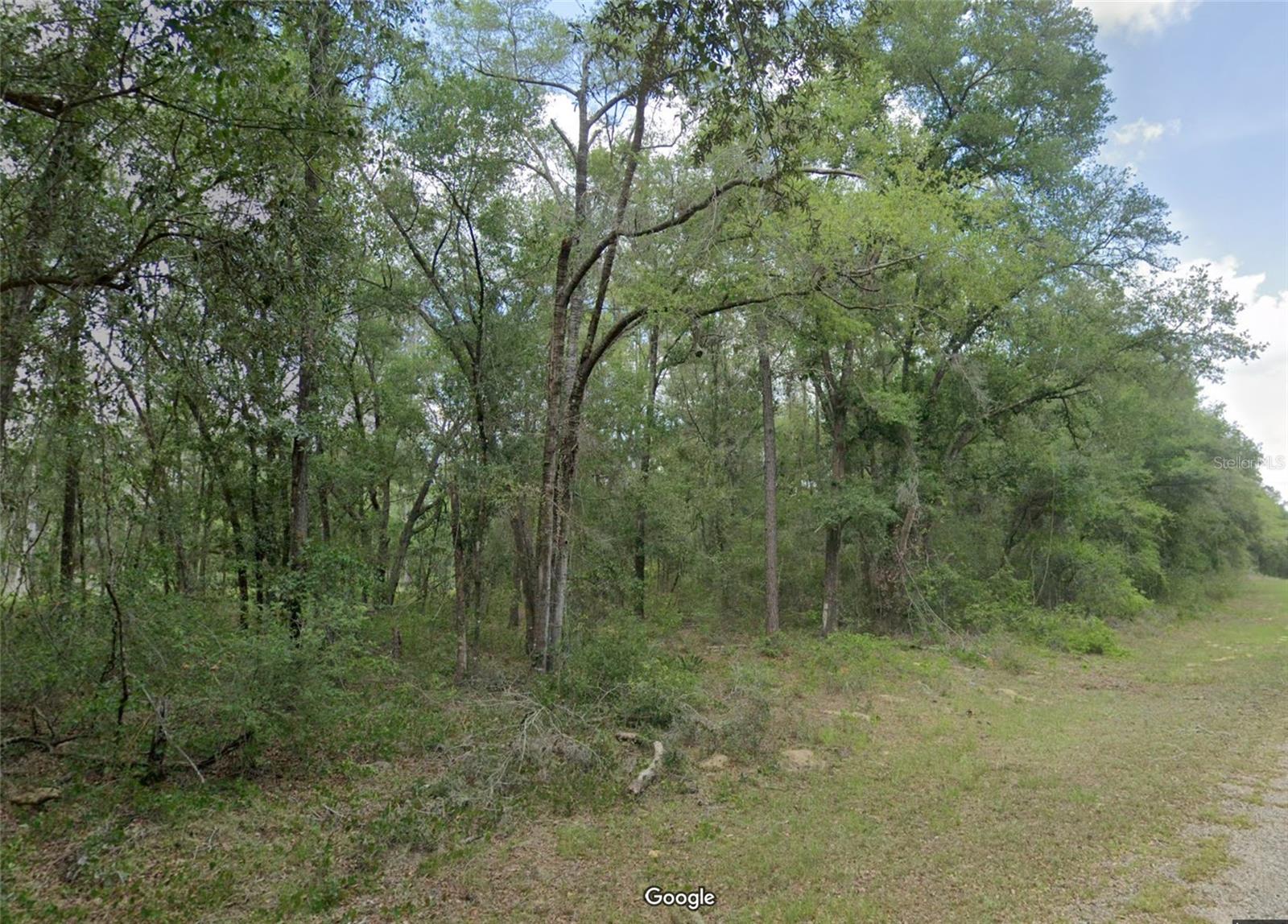 719 E Byrd Loop, FL