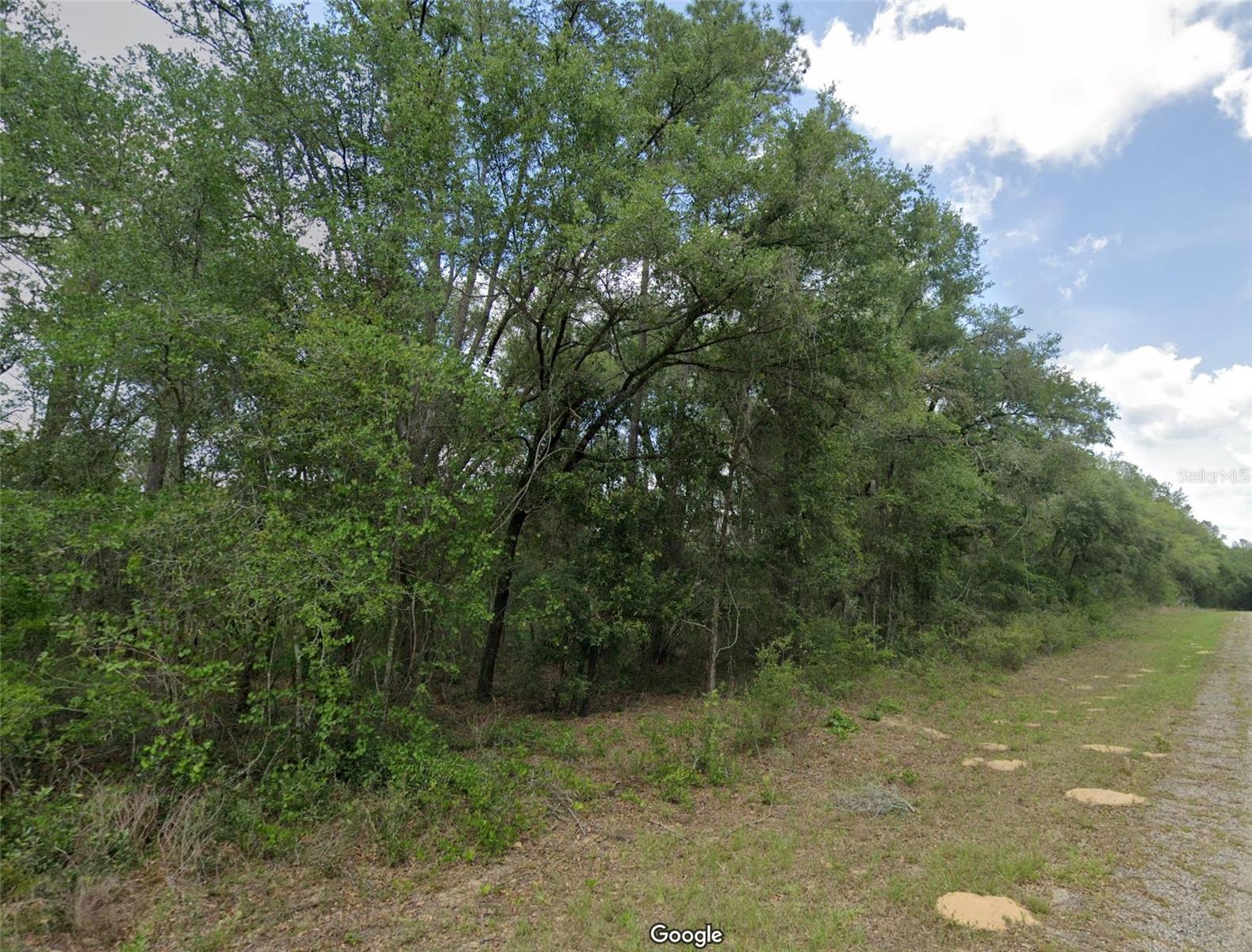 737 E Byrd Loop, FL