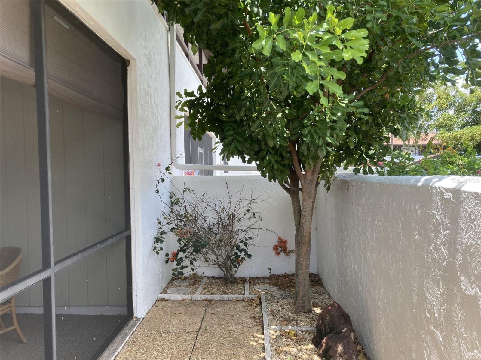 331 Barcelona Drive, FL