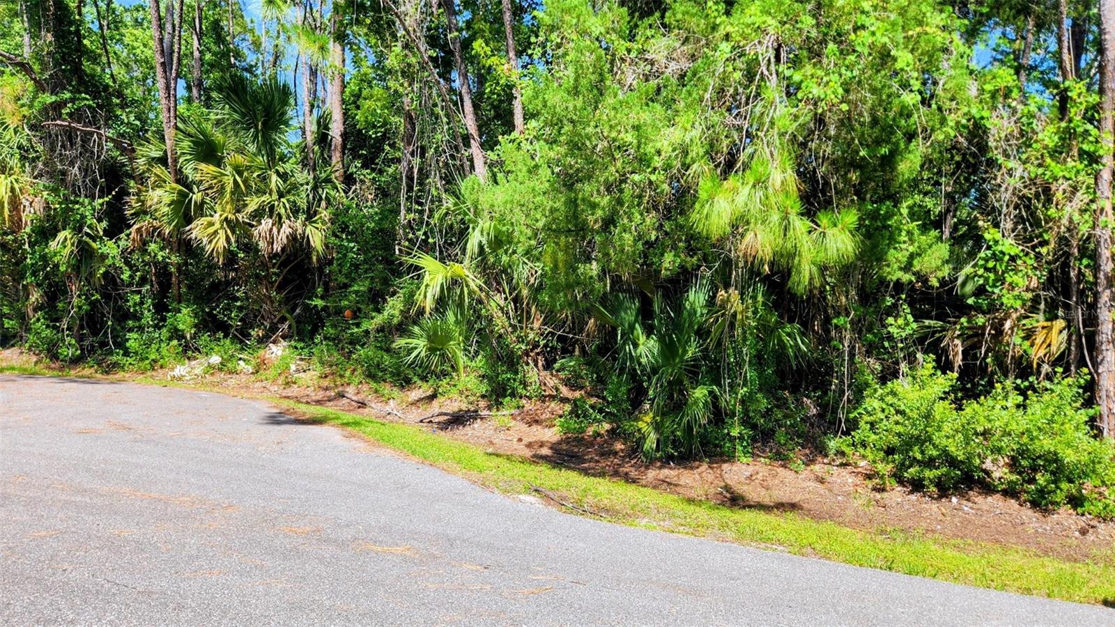 6 Rybar Pl, FL