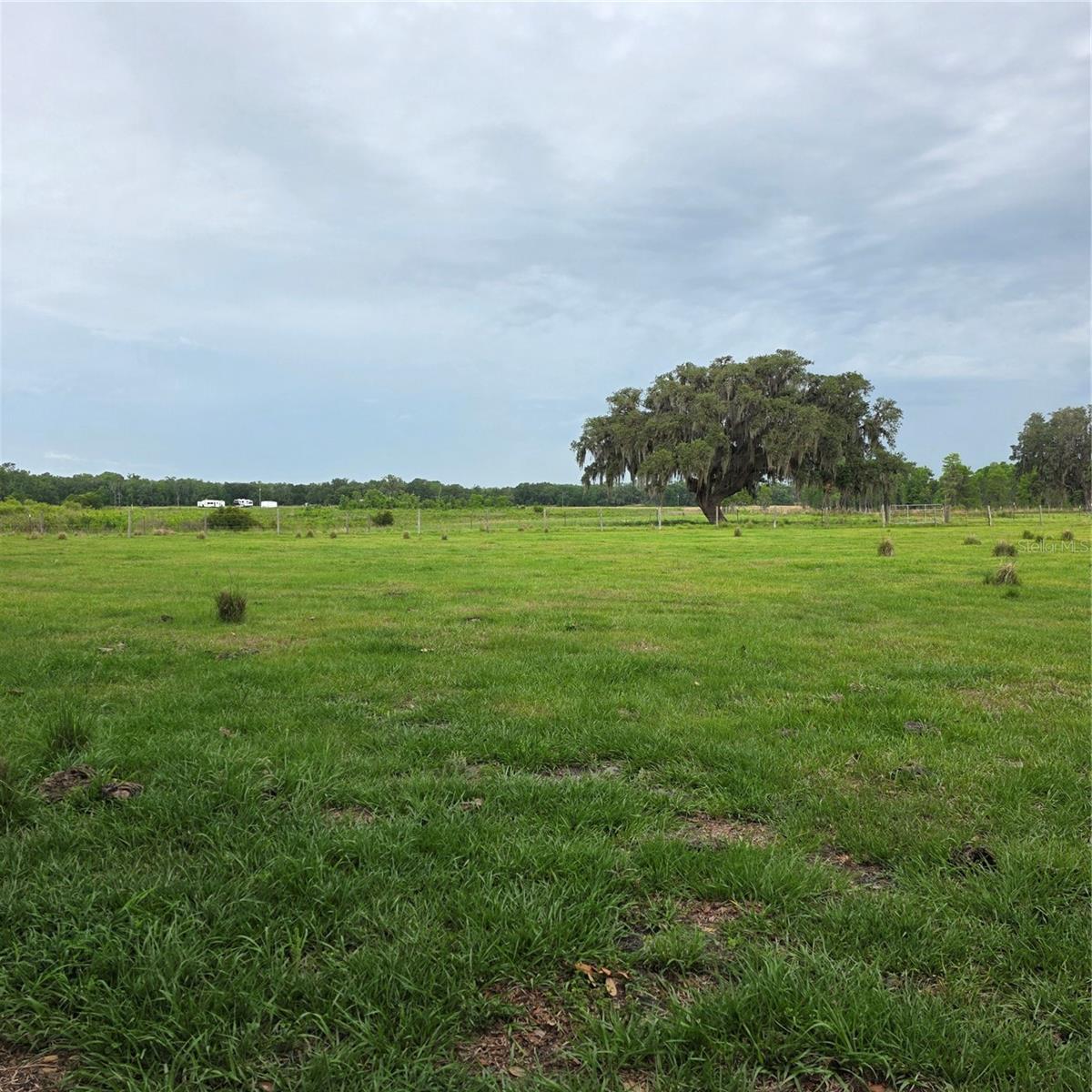 Vernon Dairy, FL