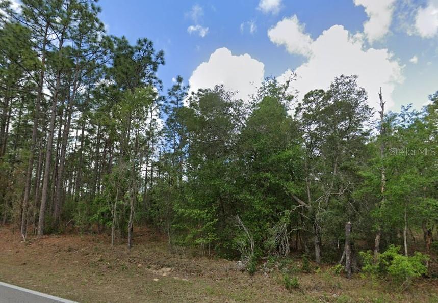 796 N Kensington Ave, FL