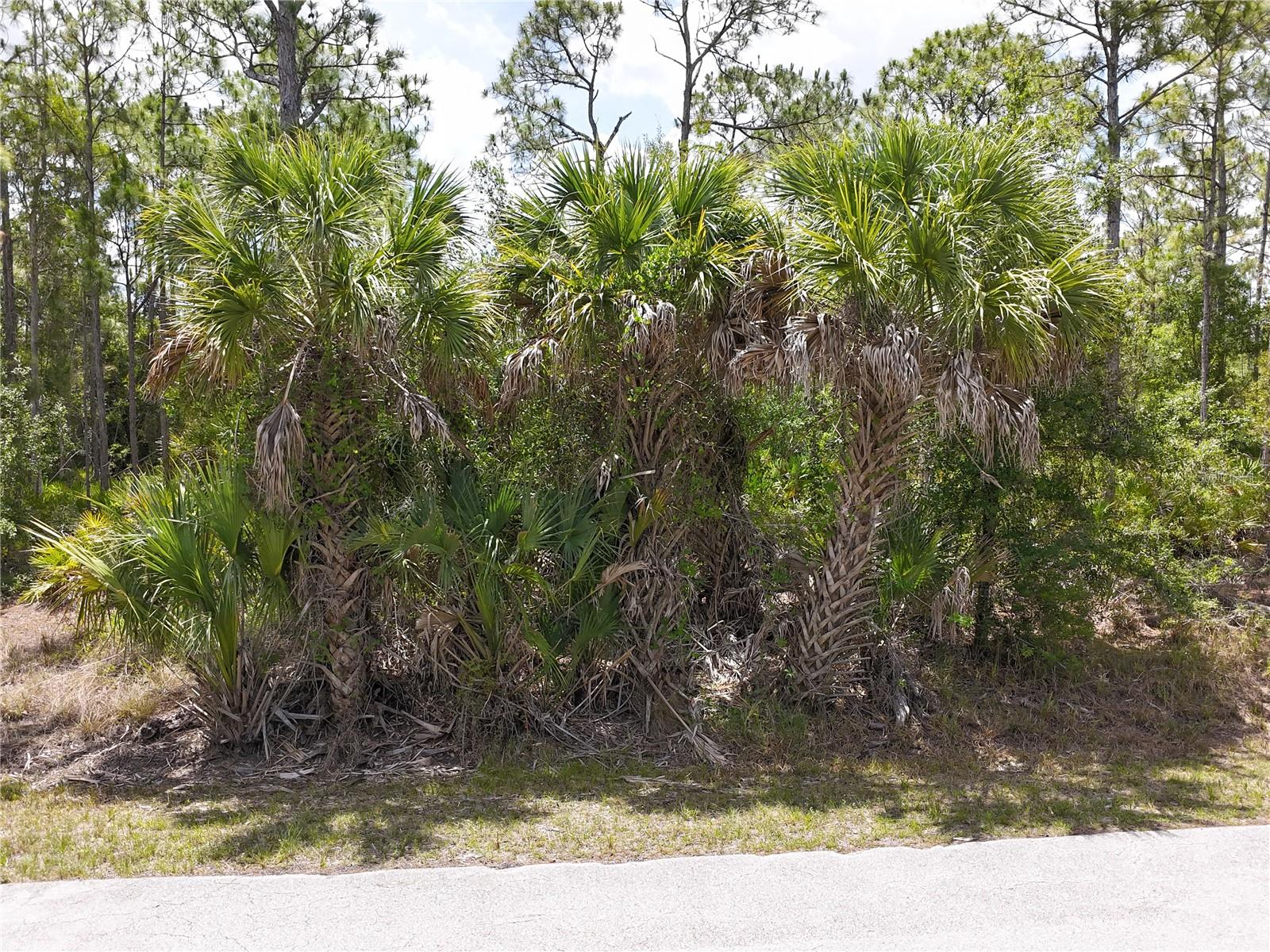 12226 Ripple Dr, FL