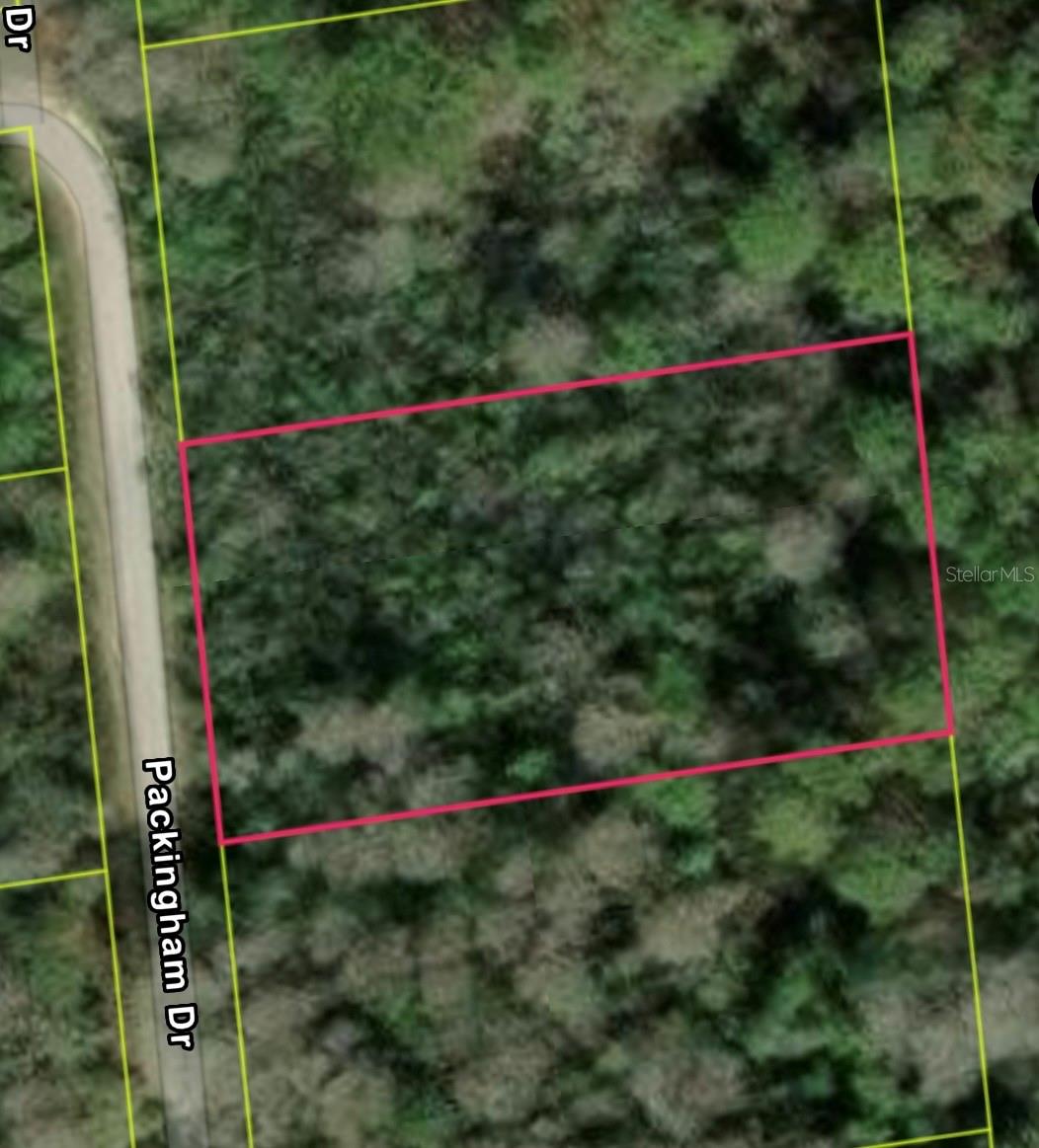 Packingham Dr, Lot 10, FL