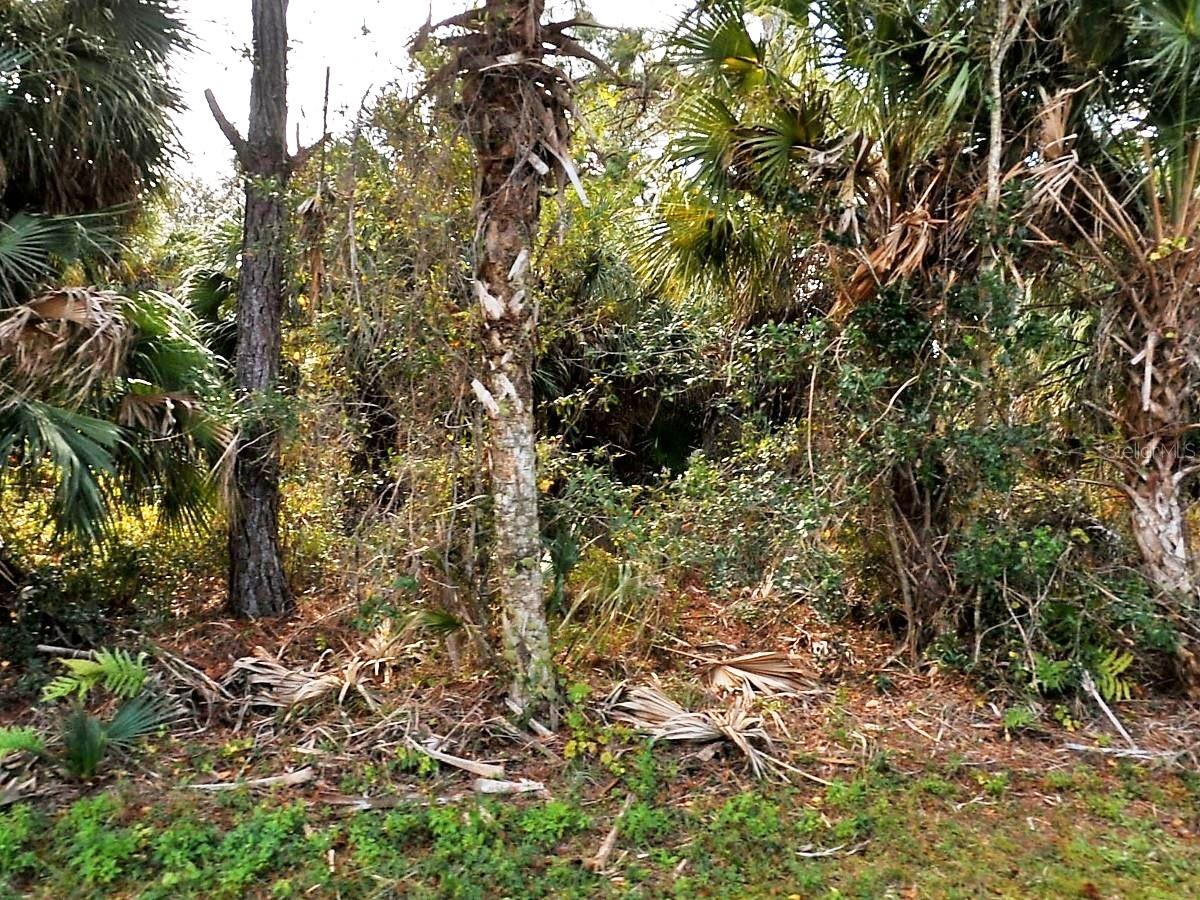 Vogler Ln, FL