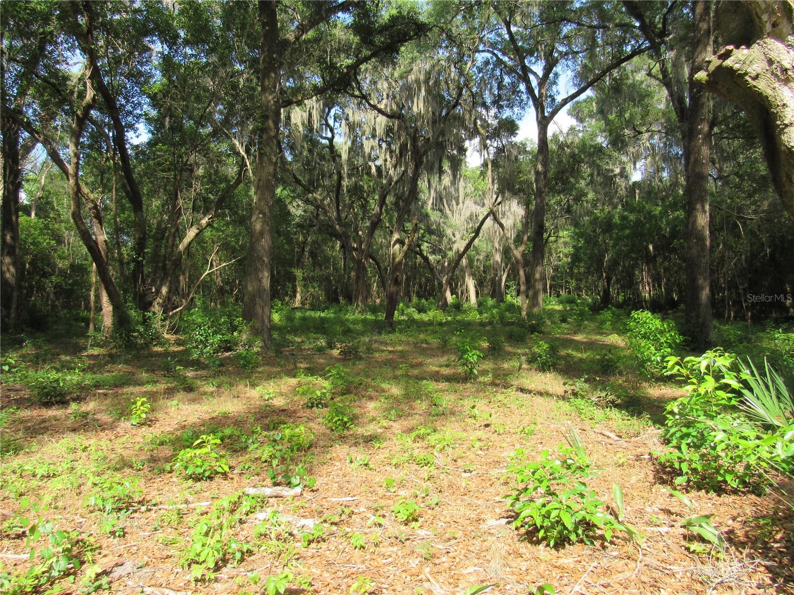Oak Valley Drive, FL