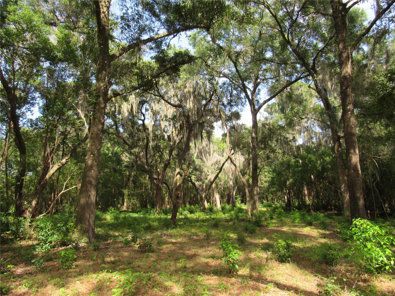 Oak Valley Drive, FL