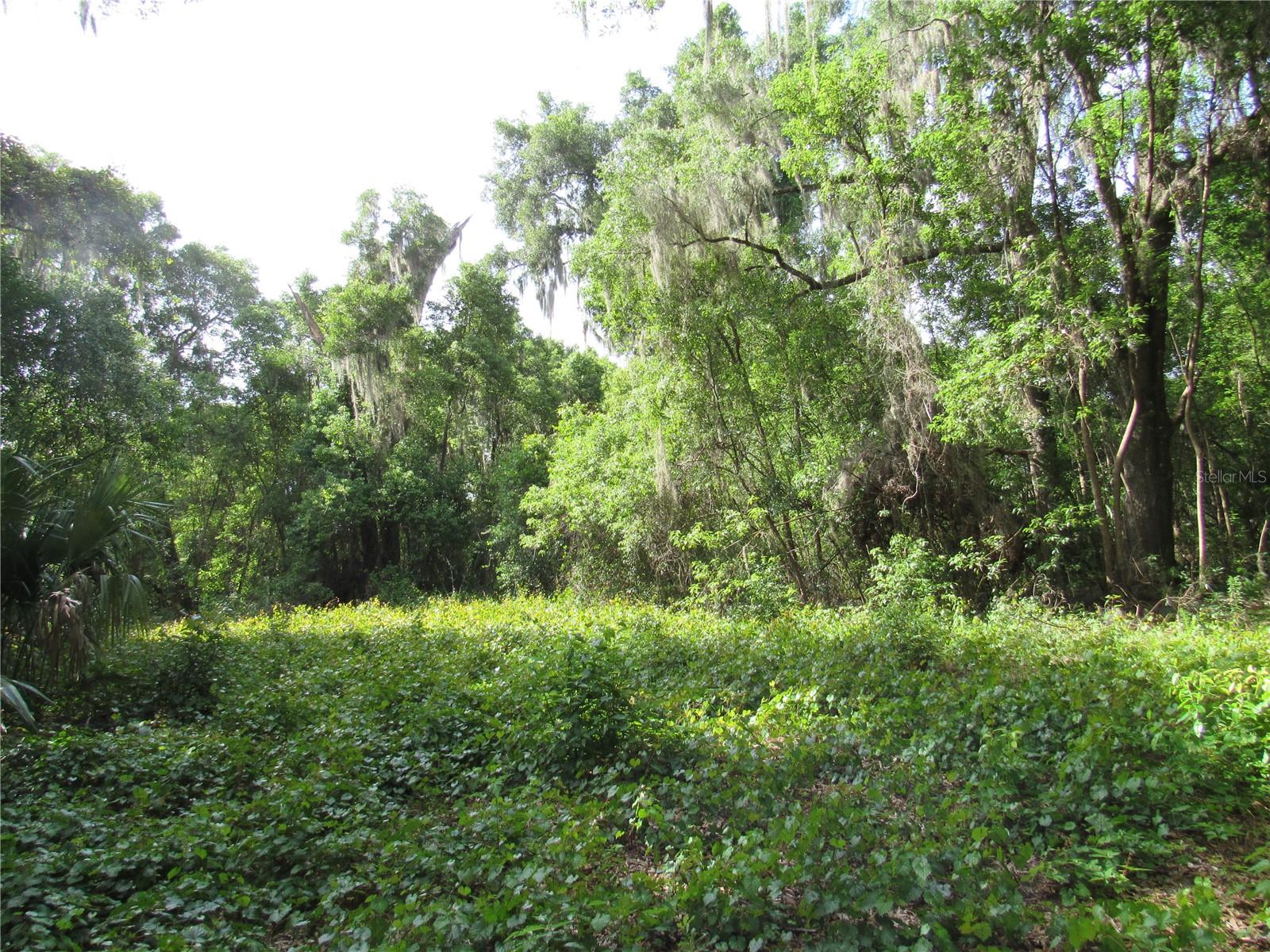 Oak Valley Drive, FL