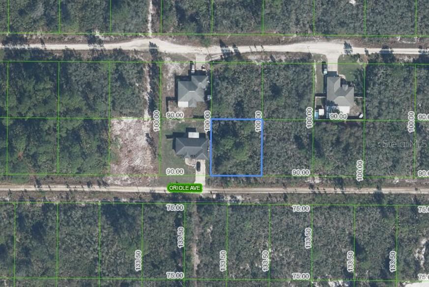 229 Oriole Ave, FL