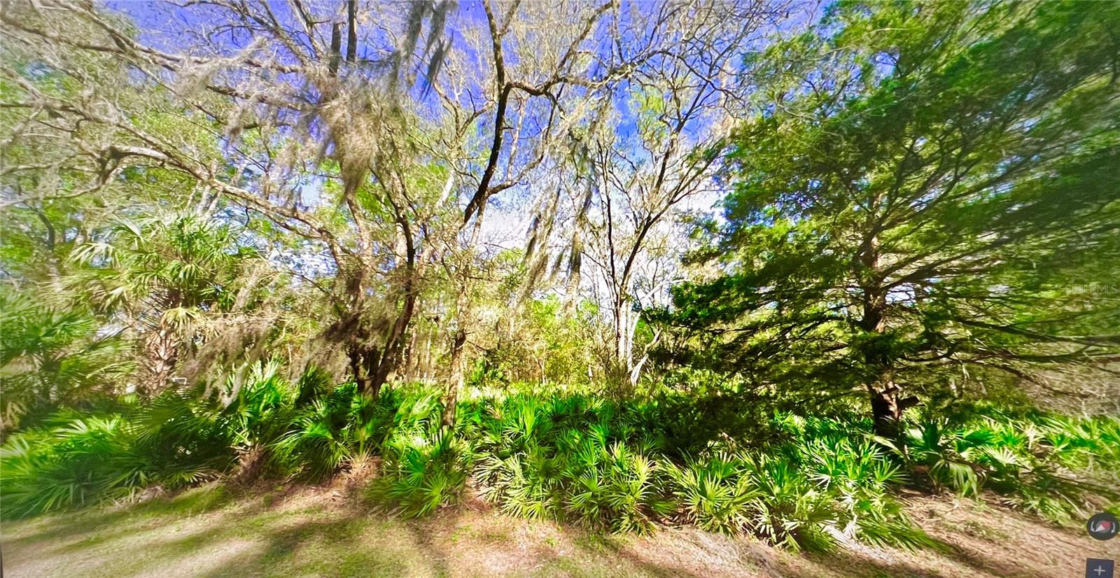 10047 W Dunnellon Rd, FL