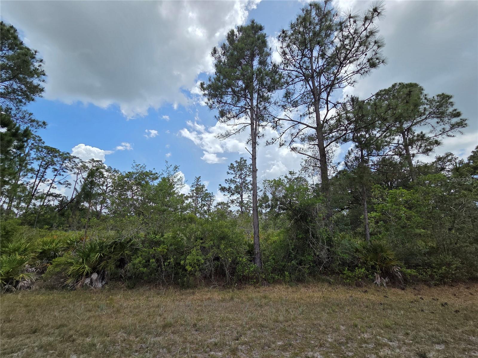 915 Laguna Dr, FL