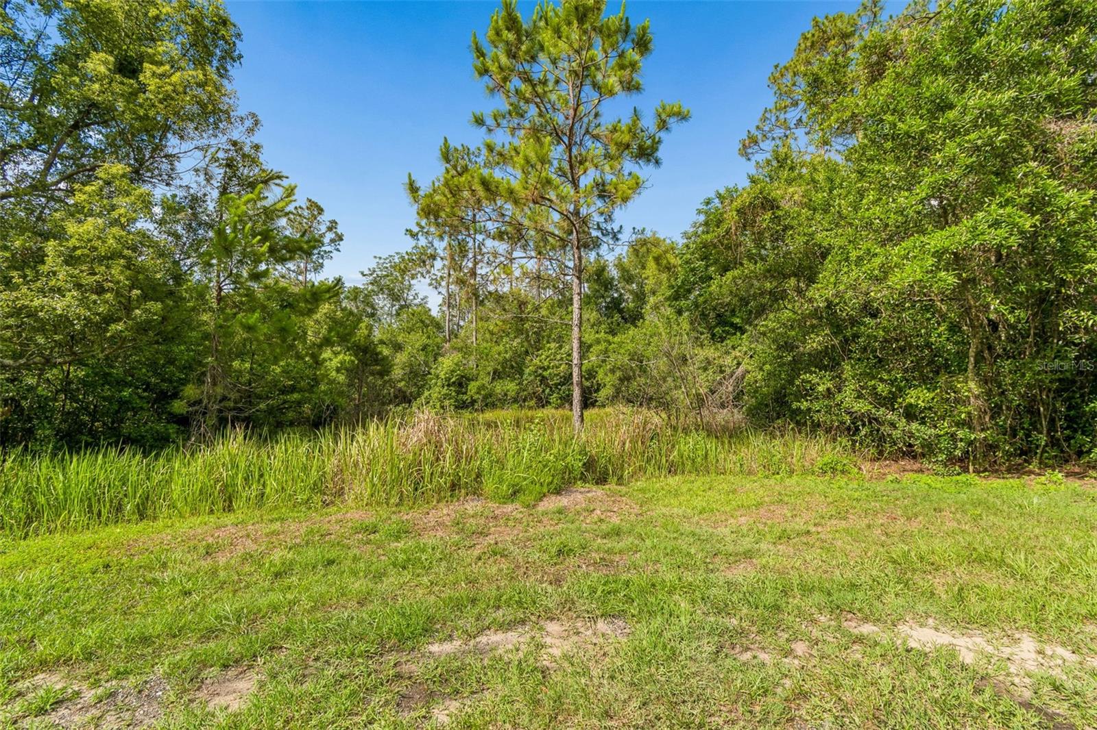 00 Hamrich, FL