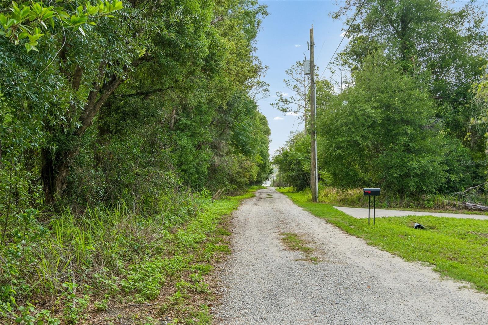 00 Hamrich, FL