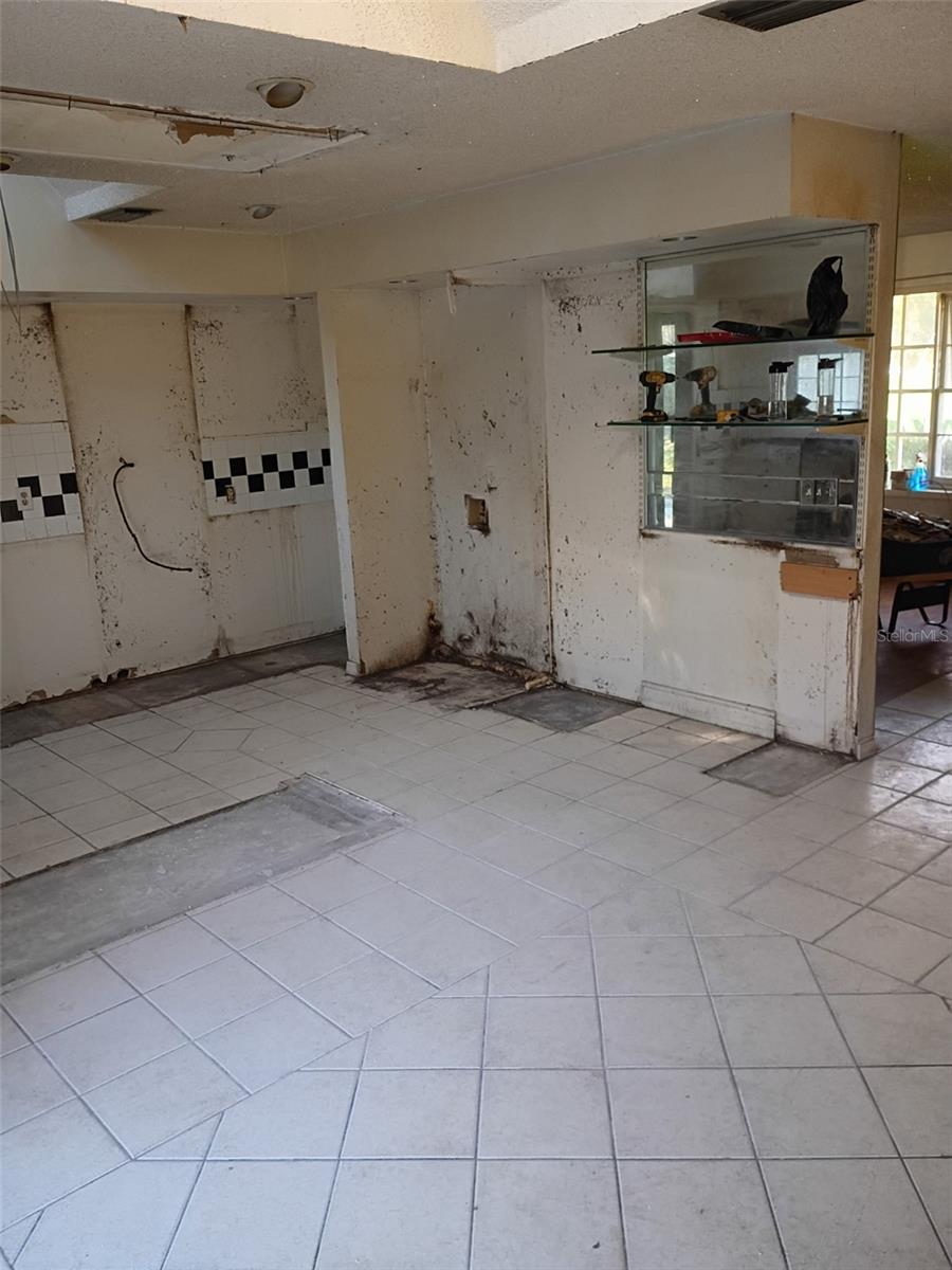 225 Fernery Road, FL