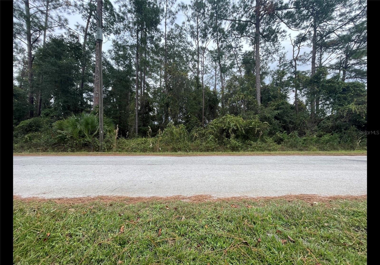 Cr 173e, FL