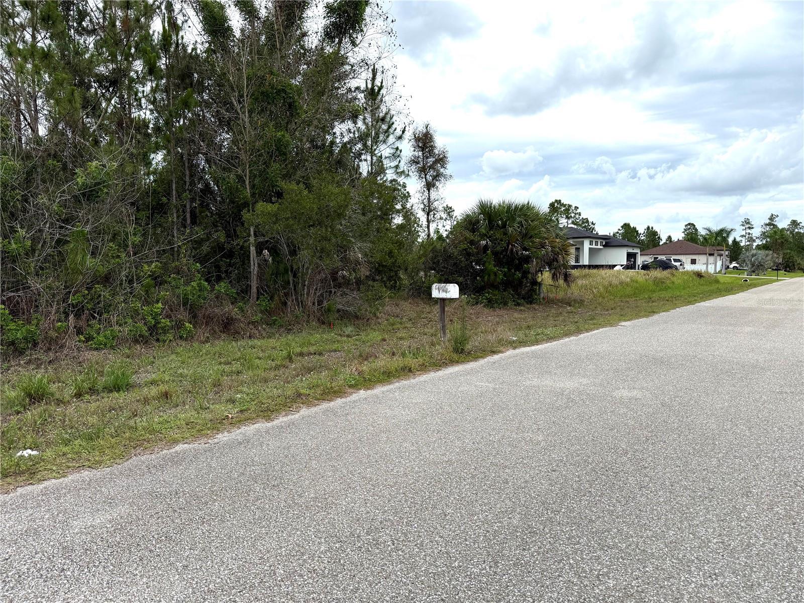 1009 Jackson Avenue, FL