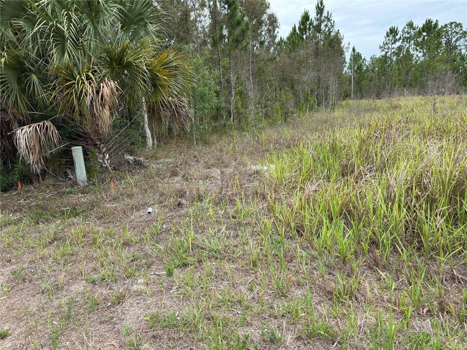 1009 Jackson Avenue, FL