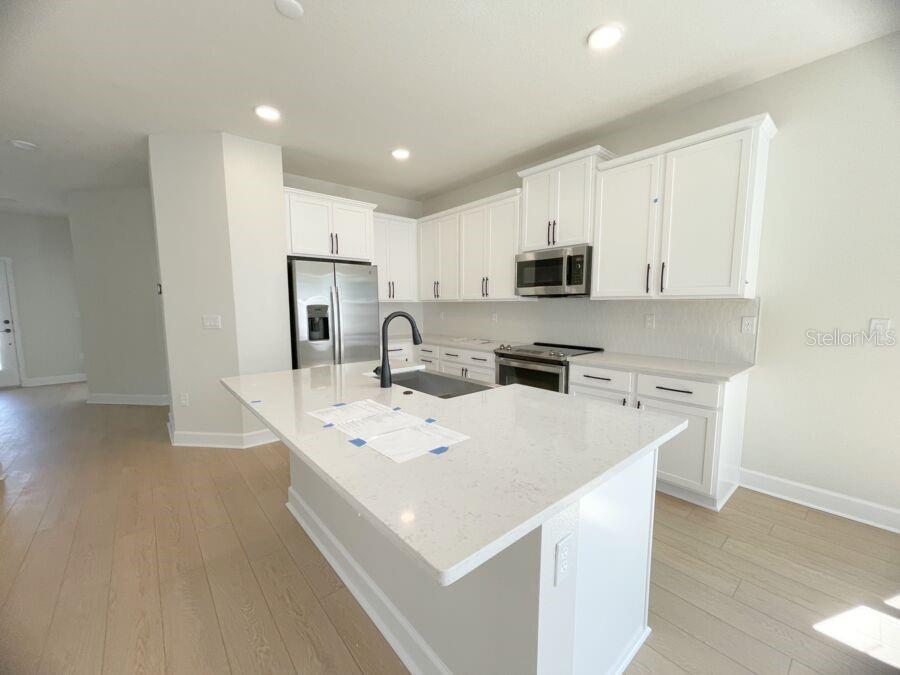 15236 Tribute Ovation Way, FL