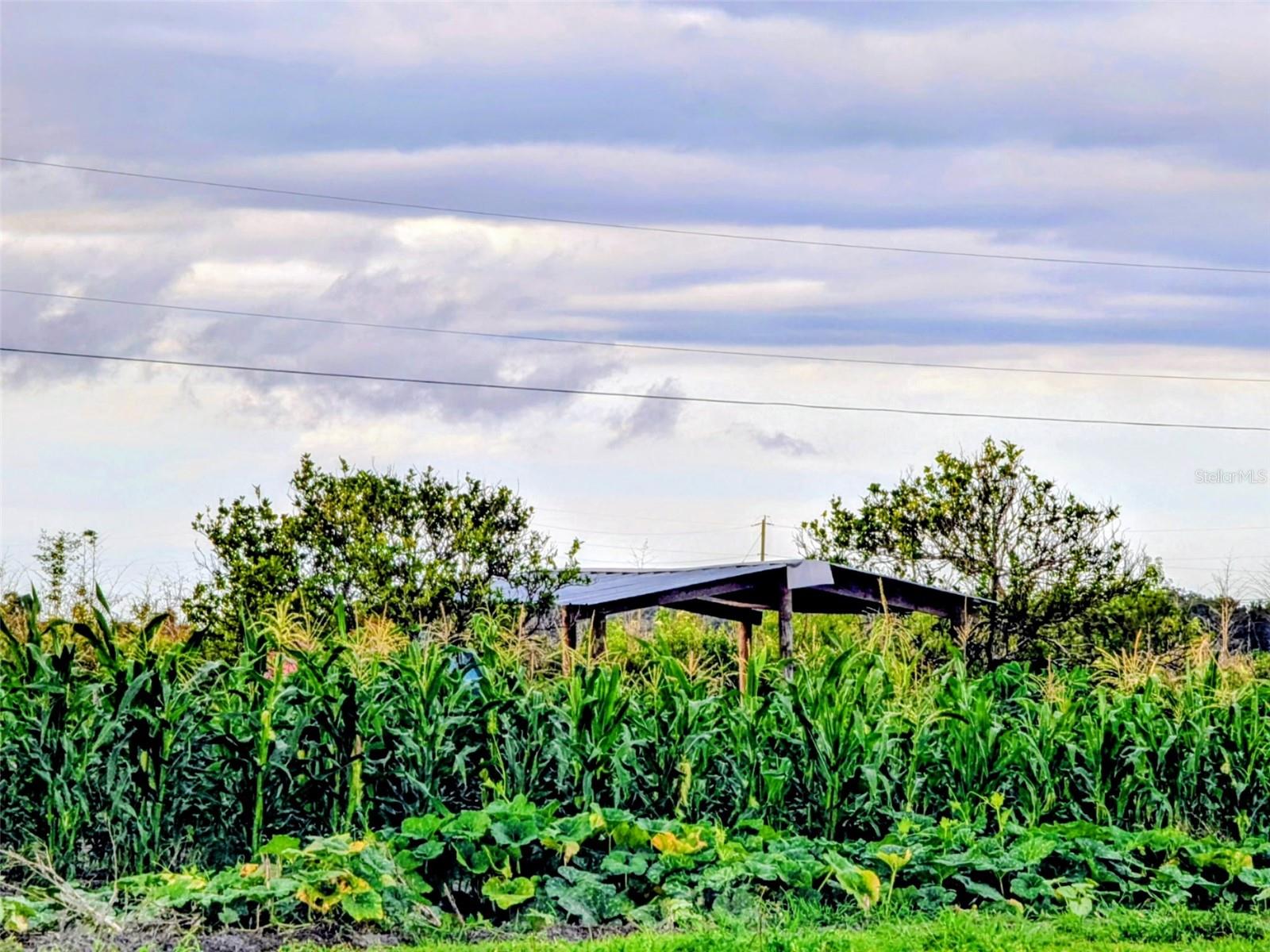 0 Mineral Branch Rd, FL