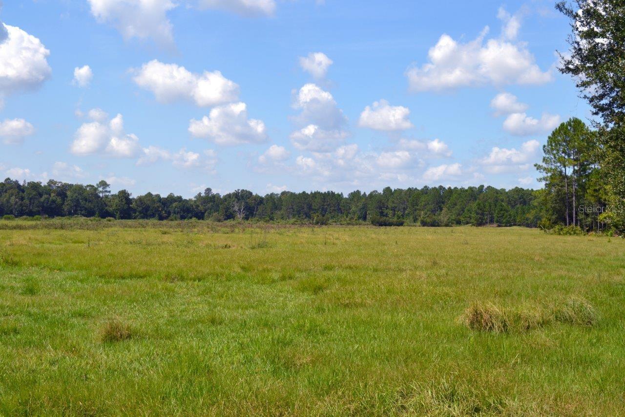 Nw 202nd Street, FL