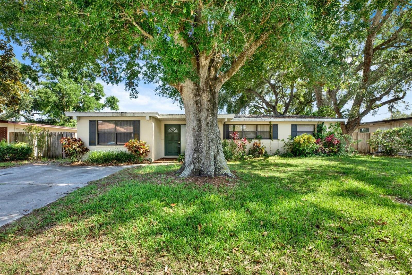 2215 Curtis Dr S, FL