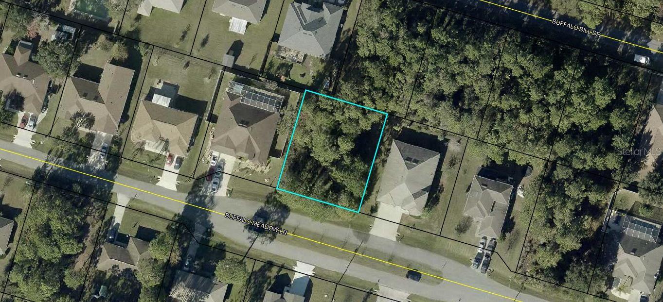 16 Buffalo Meadow Ln, FL