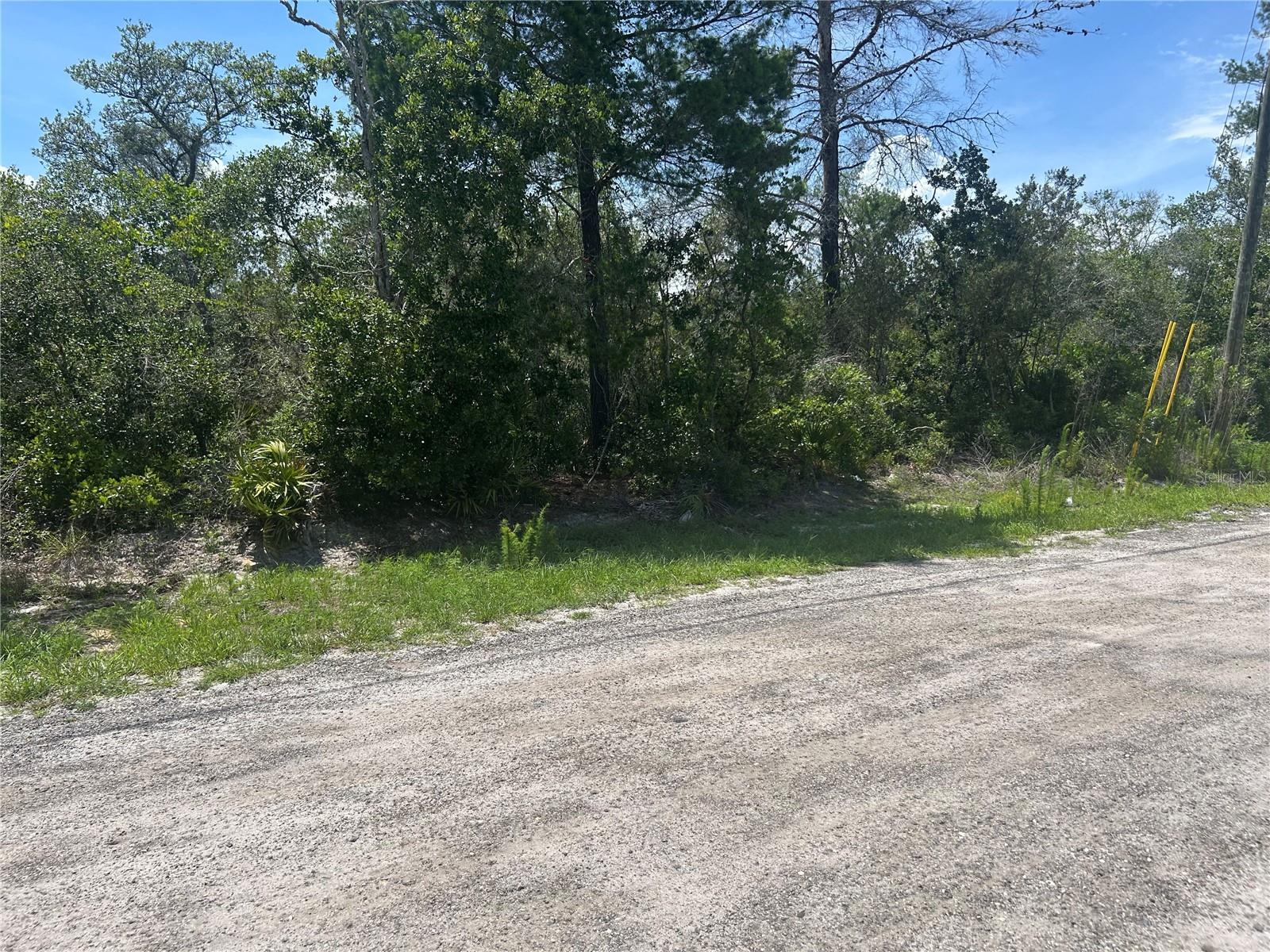 Waldor Ave, FL