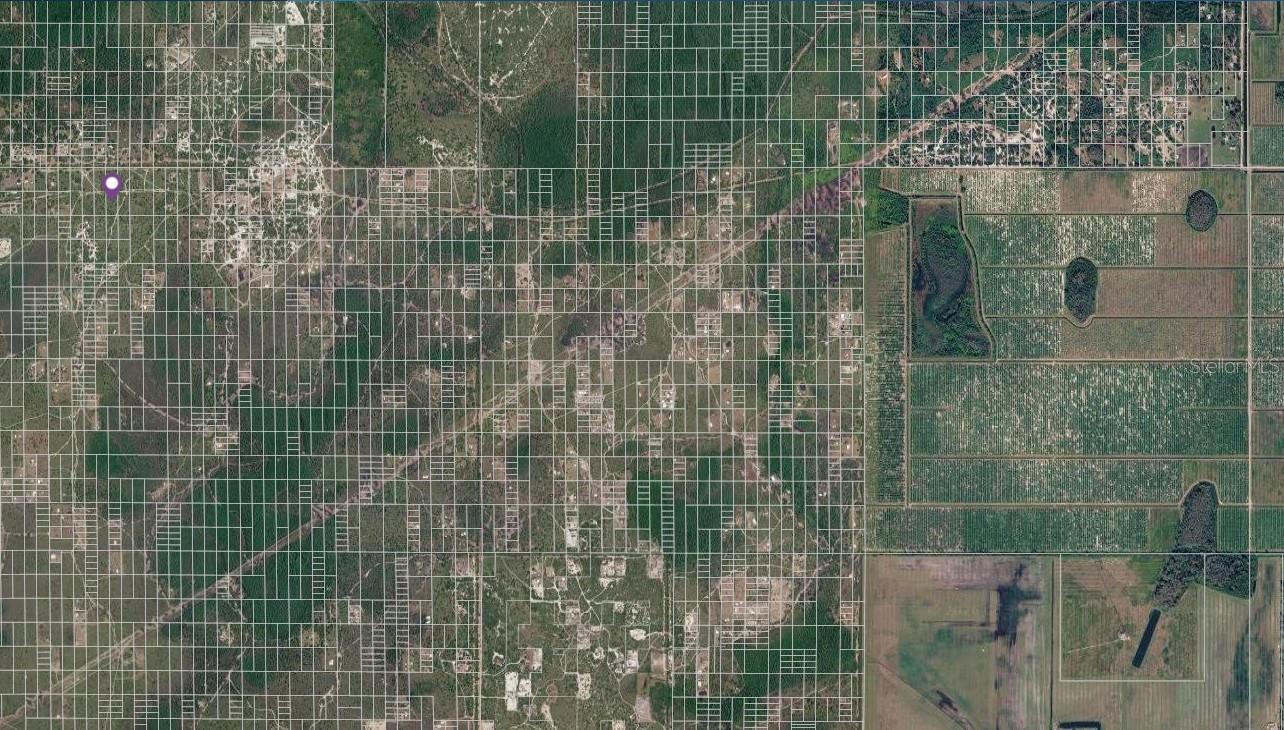 Holopaw Groves Road Lot 22, FL