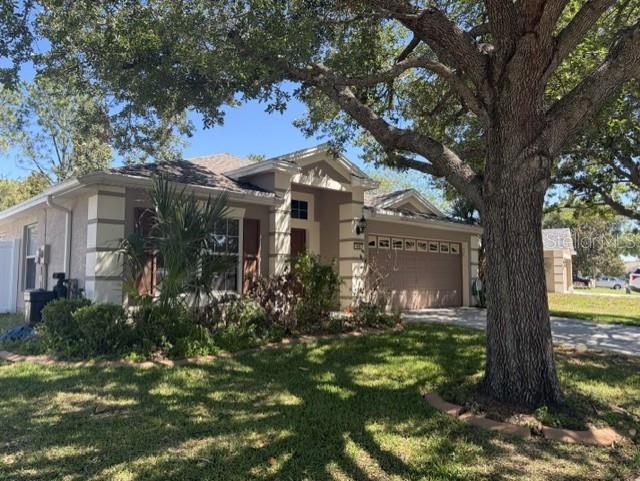 409 Sea Holly Dr, FL