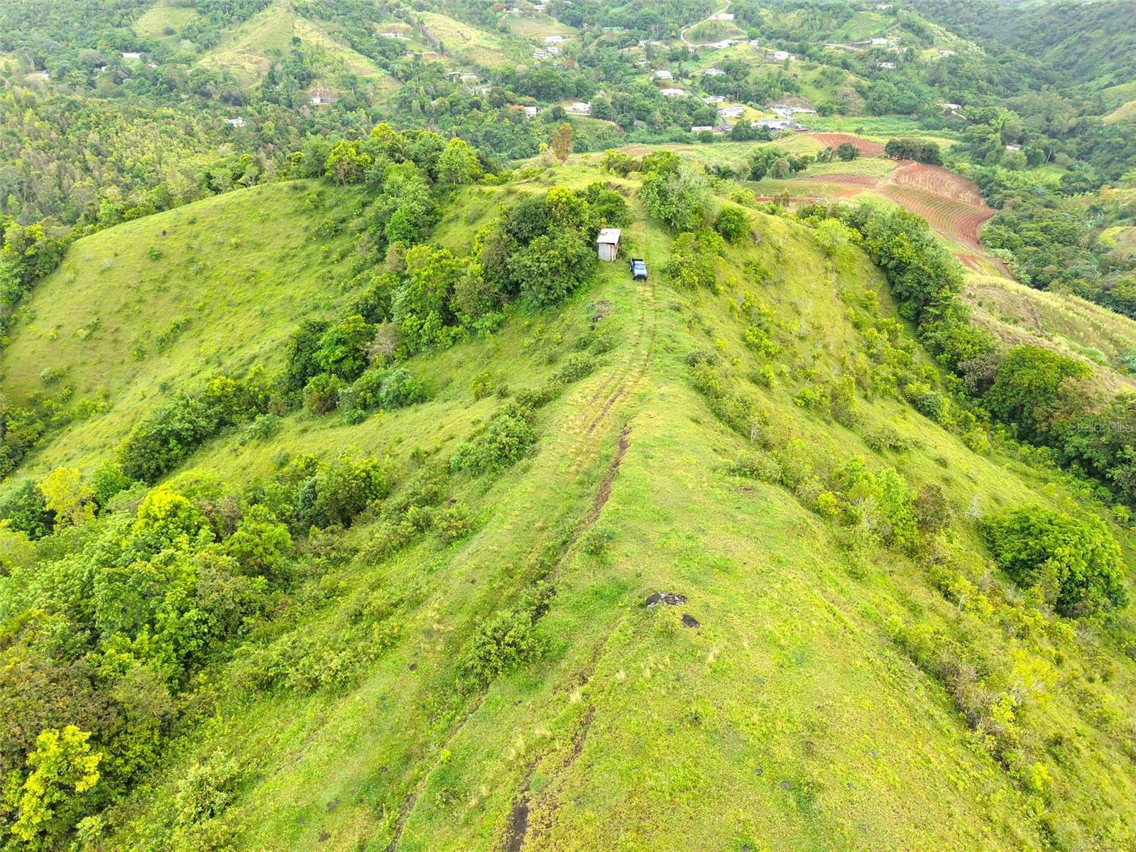 Pr 770 Km 2.9 Palo Hincado Ward, PR
