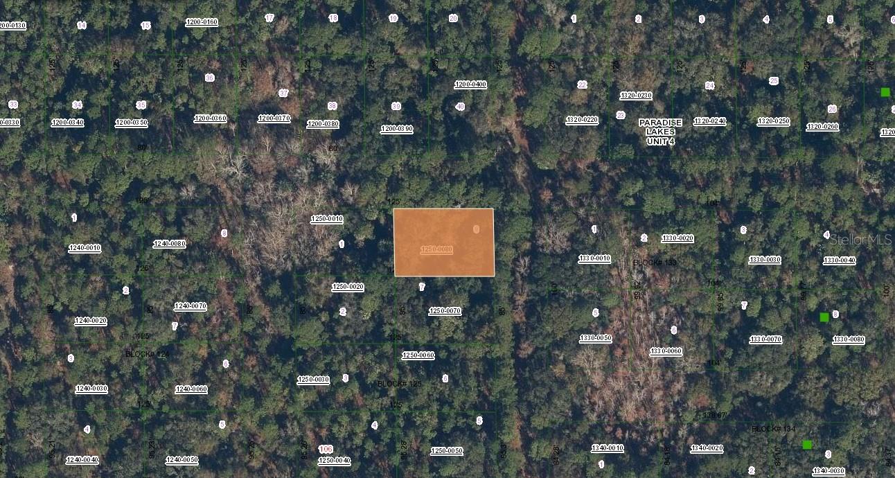 Spruce Dr, FL