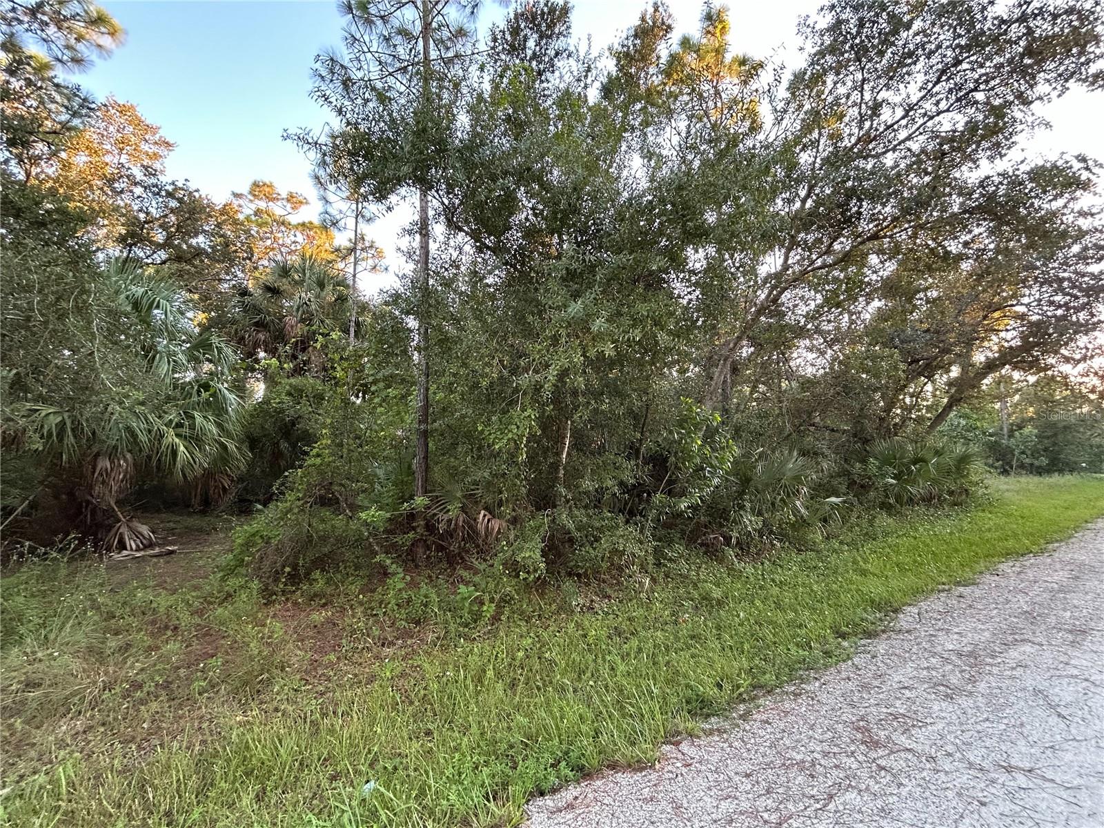 28153 Alatadena Drive, FL