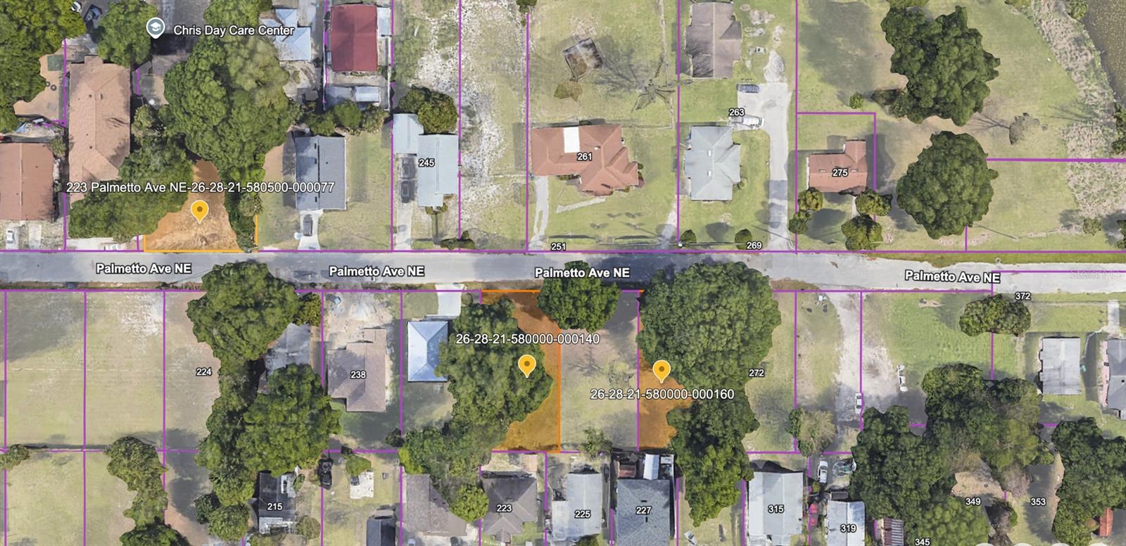 223 Palmetto Avenue, FL