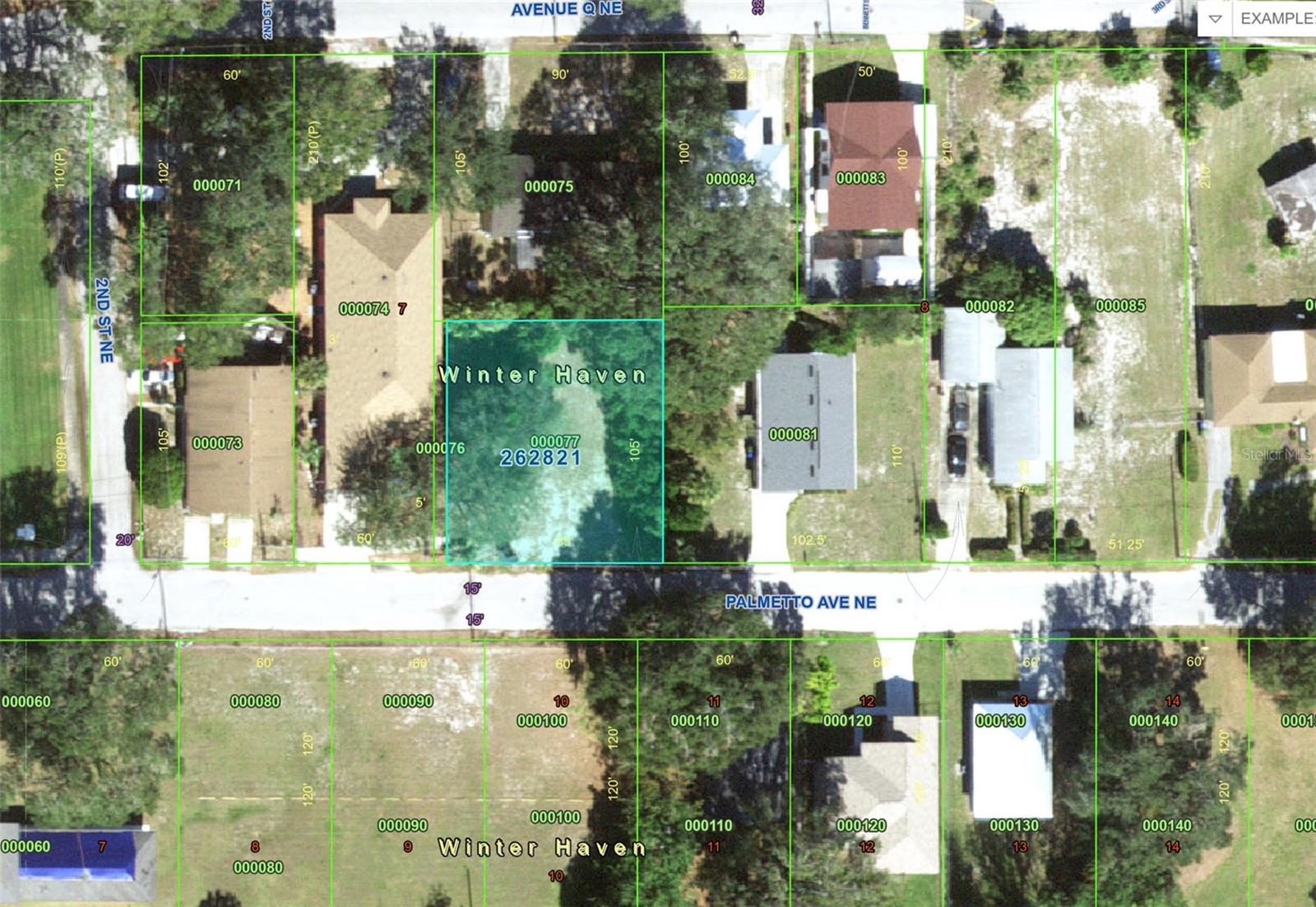 223 Palmetto Avenue, FL